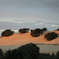 /album/galerie-de-photos-galerie-photos/frida-dumont-img-8238-jpg/